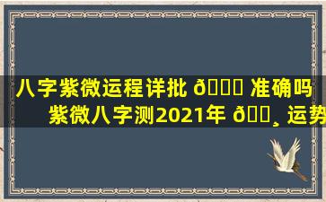 八字紫微运程详批 🍁 准确吗（紫微八字测2021年 🕸 运势）